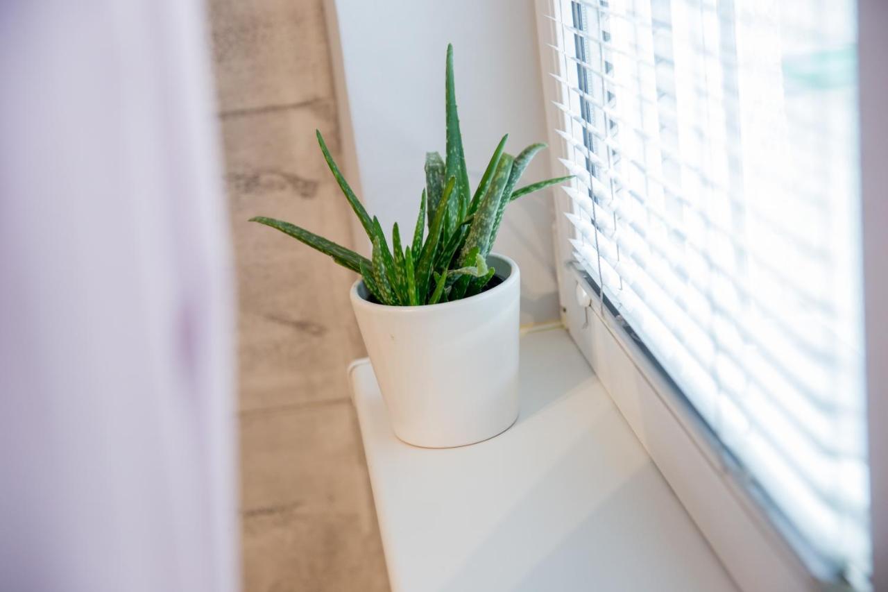 Apartment Studio Milena Σουμπότικα Εξωτερικό φωτογραφία